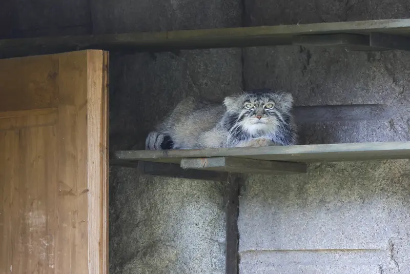 A photograph of Timofey in Moscow zoo