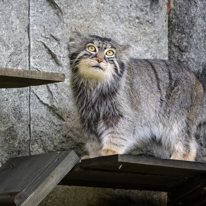 A photograph of Timofey in Moscow zoo