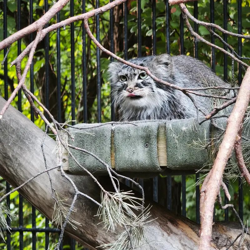 A photograph of Gabi in Novosibirsk Zoo
