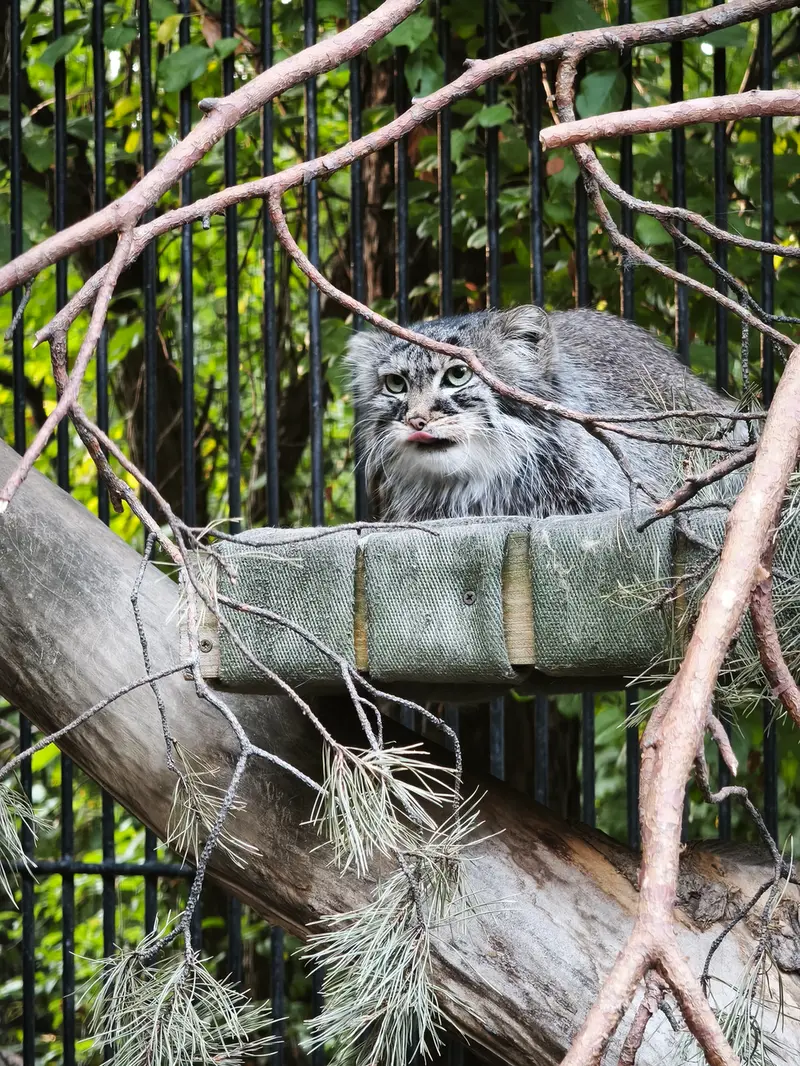 A photograph of Gabi in Novosibirsk Zoo