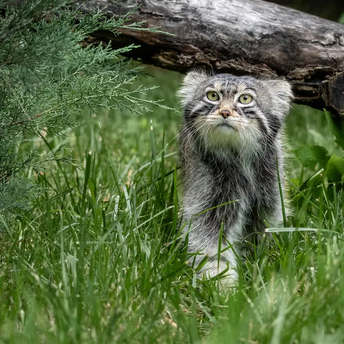 A photograph of Timofey in Moscow zoo