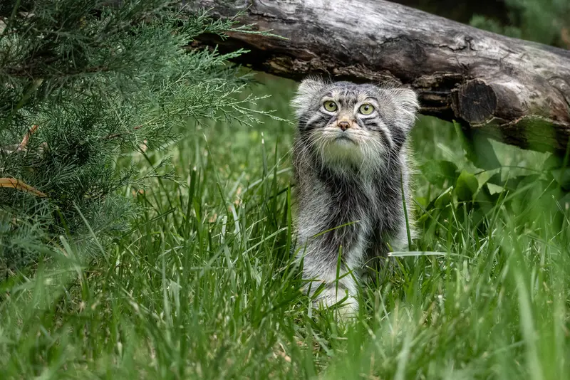 A photograph of Timofey in Moscow zoo