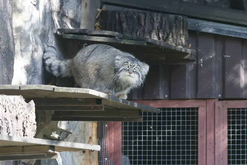 A photograph of Timofey in Moscow zoo