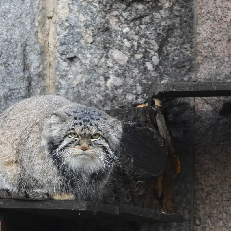 A photograph of Timofey in Moscow zoo