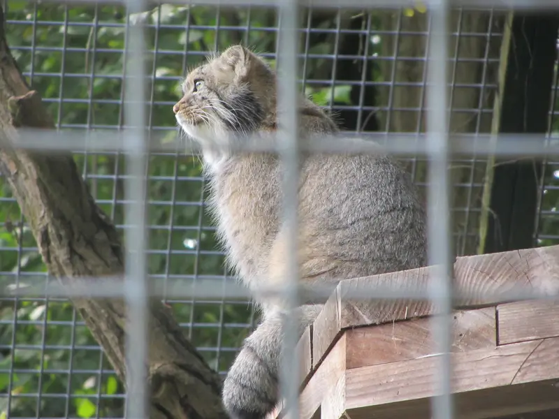 A photograph of Karl-Heinz in Saarbrücken Zoo