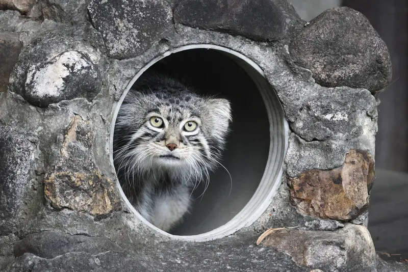 A photograph of Timofey in Moscow zoo