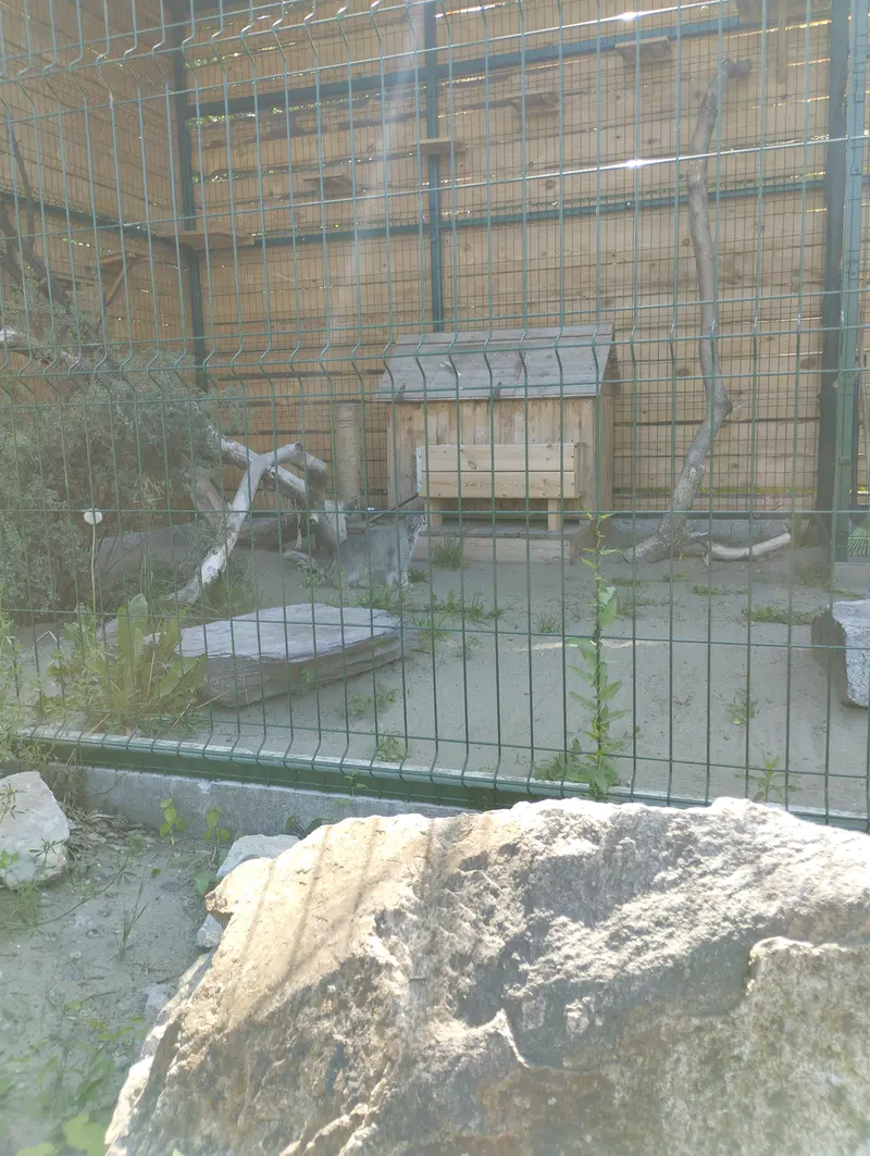 A photograph of Pepe in Barnaul zoo “Lesnaya skazka”