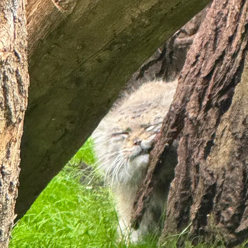 A photograph of Jessie in Warsaw Zoo