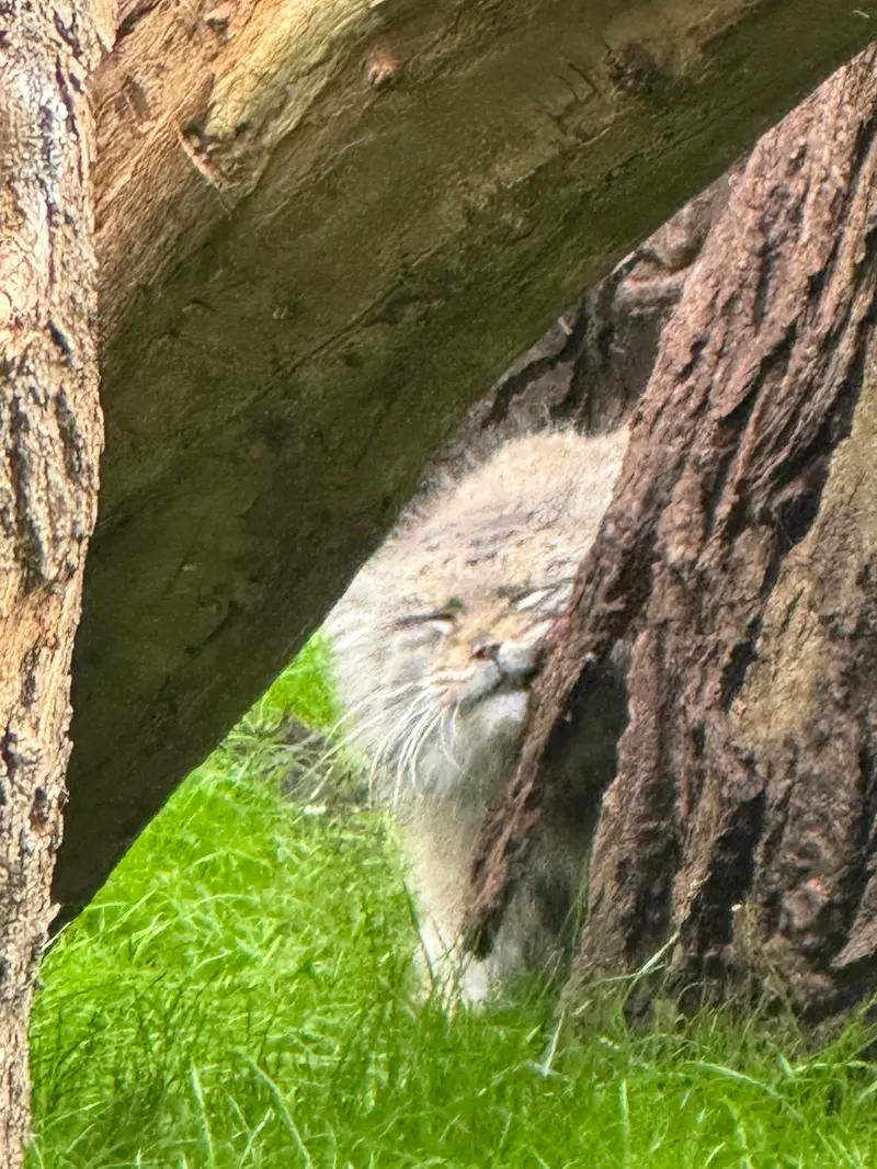 A photograph of Jessie in Warsaw Zoo