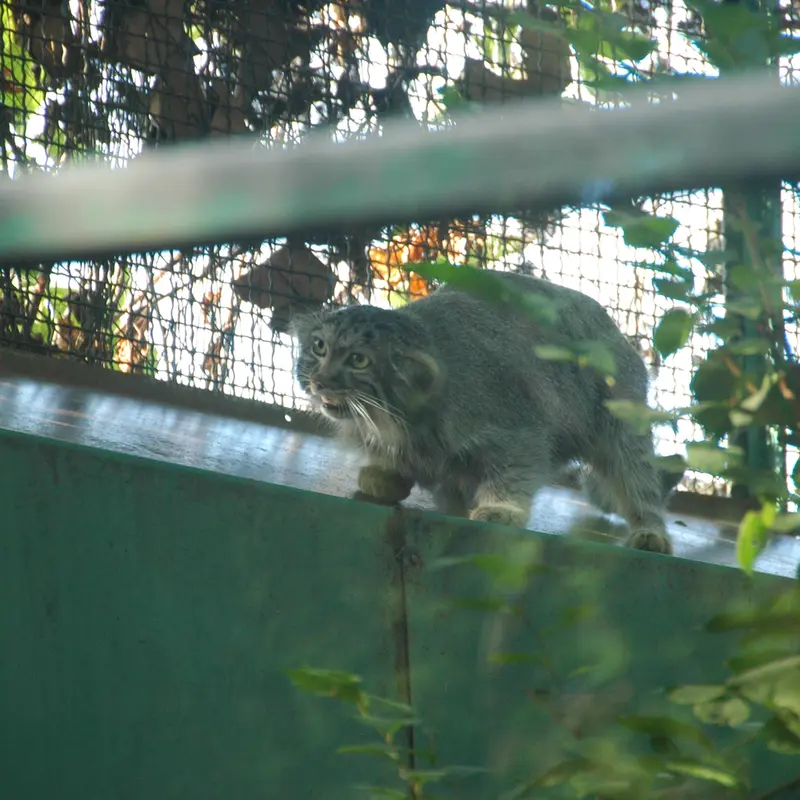 A photograph of Lucy in Budapest Zoo & Botanical Garden