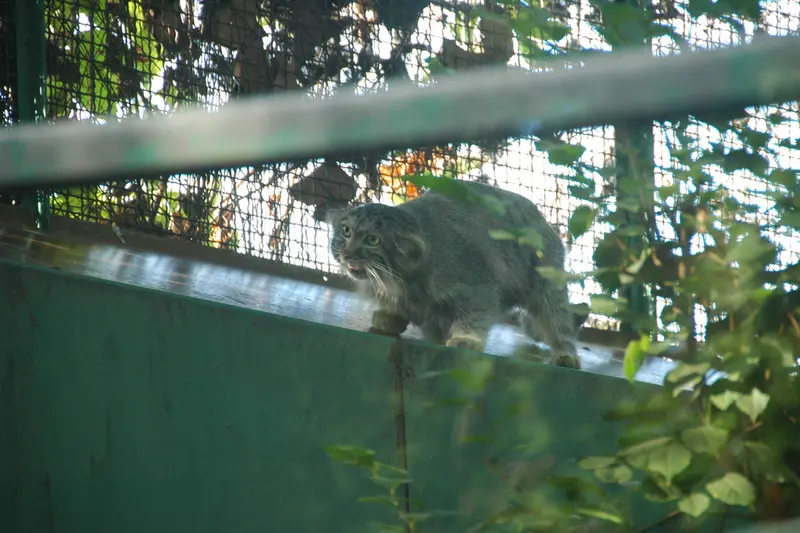 A photograph of Lucy in Budapest Zoo & Botanical Garden