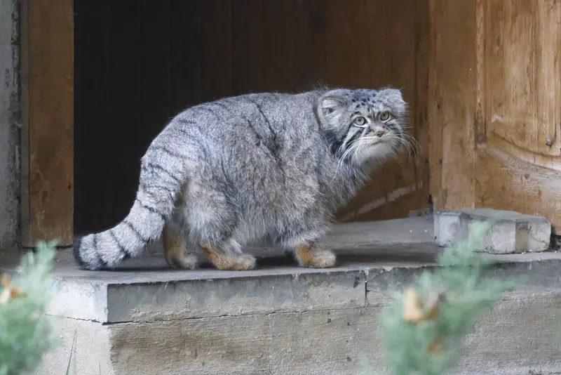 A photograph of Timofey in Moscow zoo