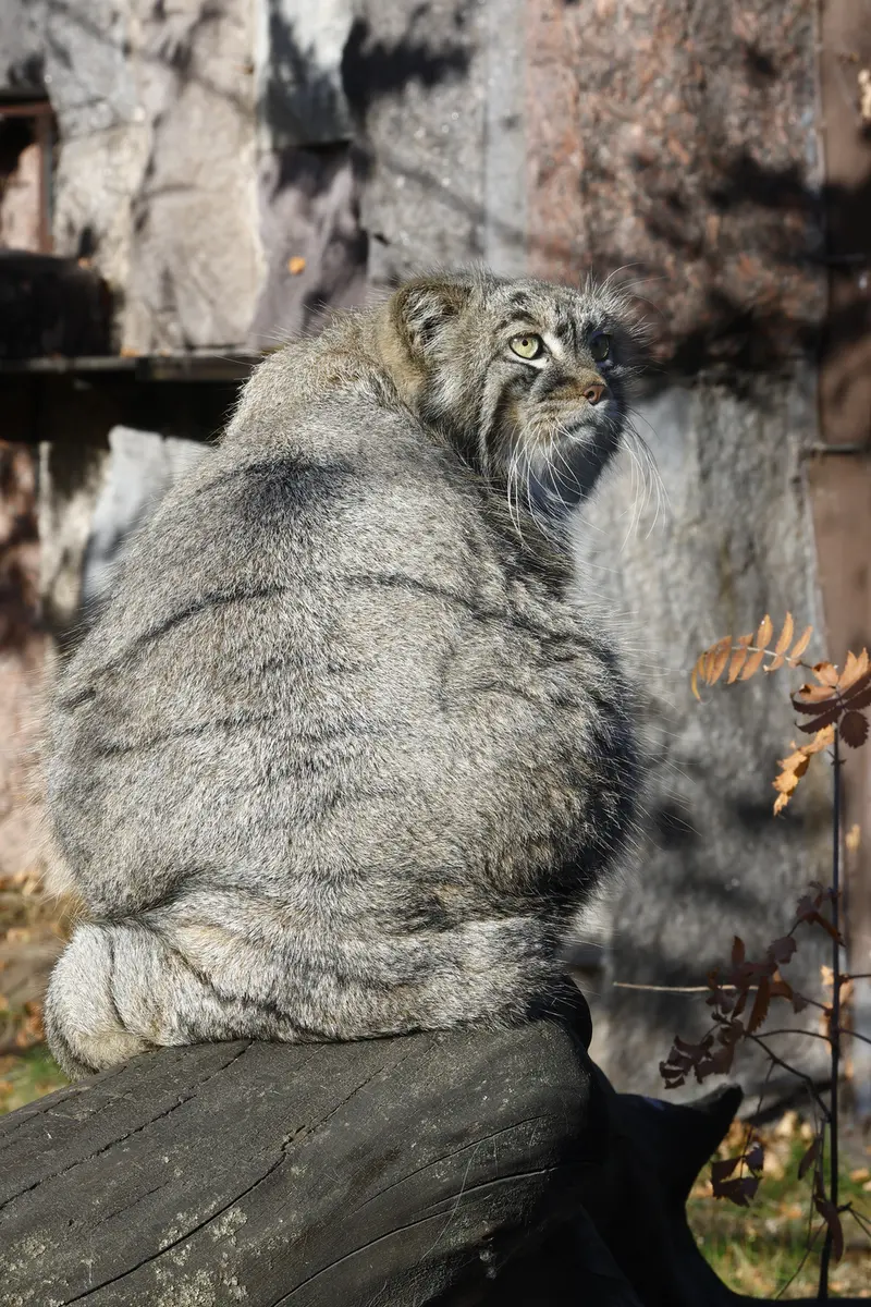 A photograph of Timofey in Moscow zoo