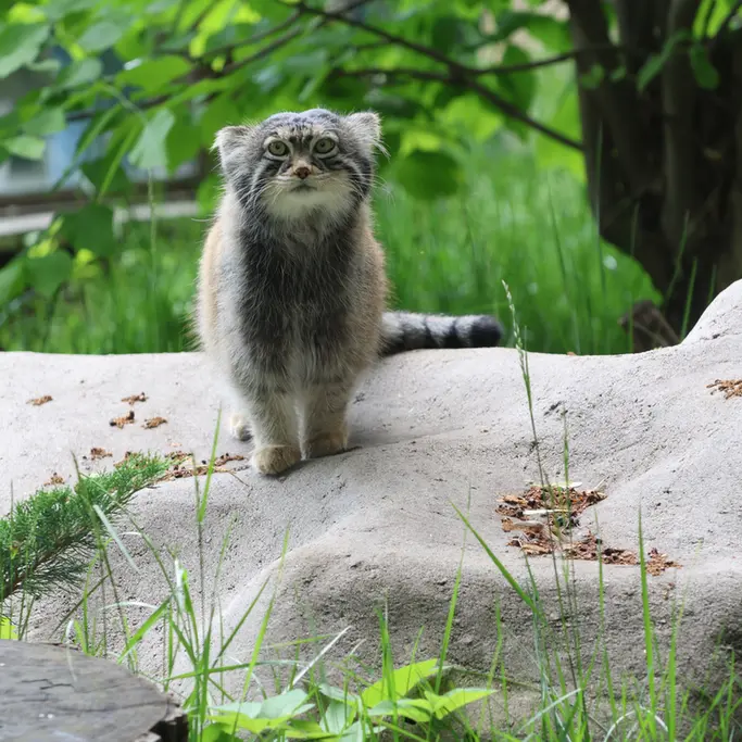 A photograph of Timofey in Moscow zoo