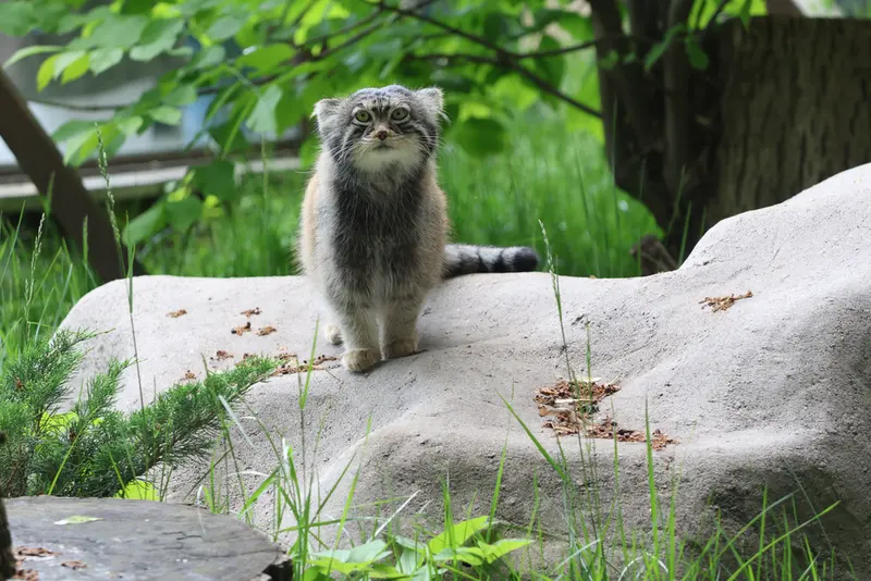 A photograph of Timofey in Moscow zoo