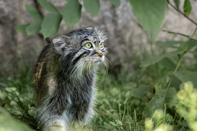 A photograph of Timofey in Moscow zoo