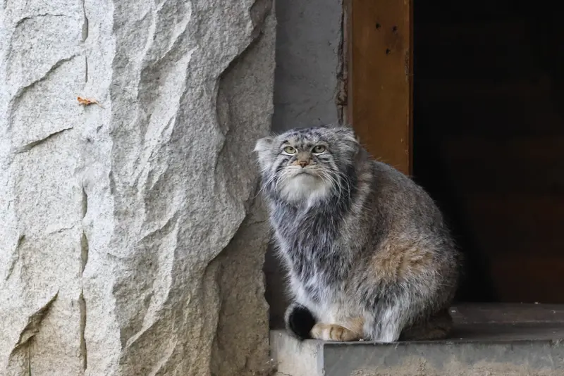 A photograph of Timofey in Moscow zoo