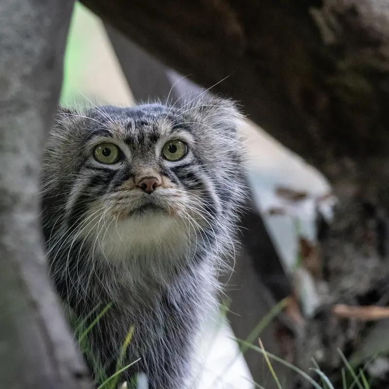 A photograph of Timofey in Moscow zoo