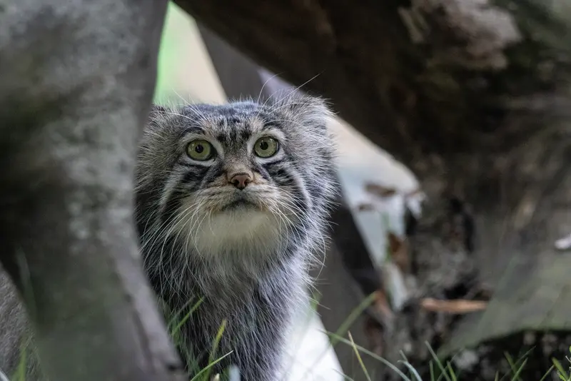 A photograph of Timofey in Moscow zoo