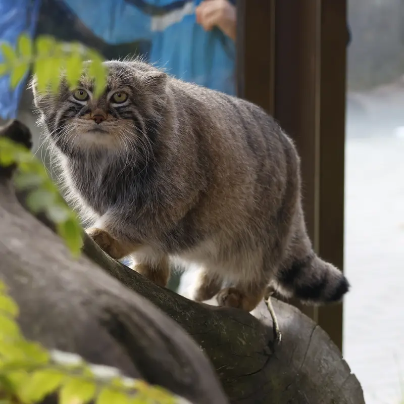 A photograph of Timofey in Moscow zoo