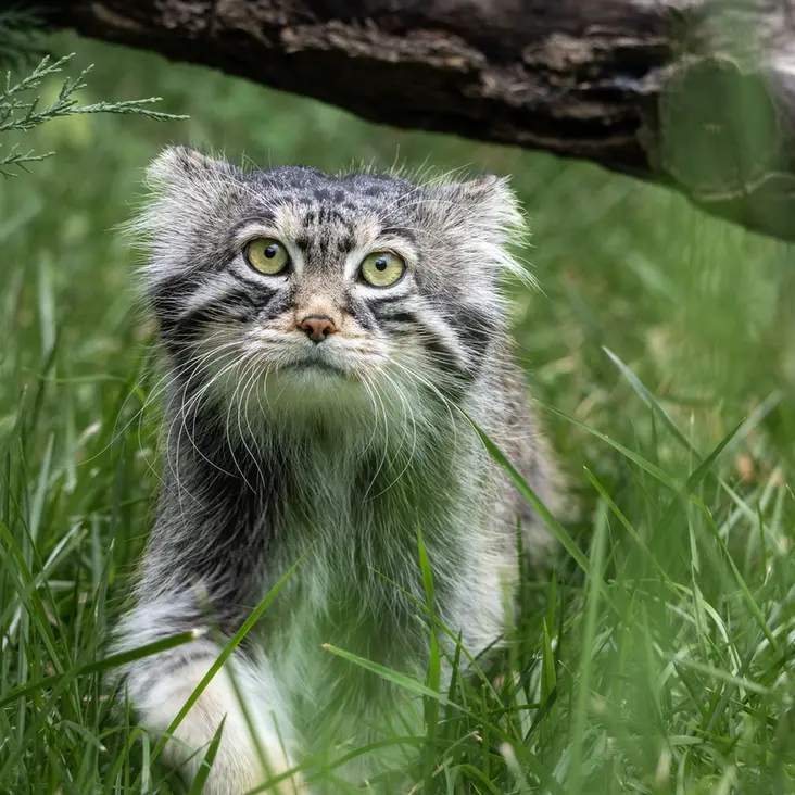 A photograph of Timofey in Moscow zoo