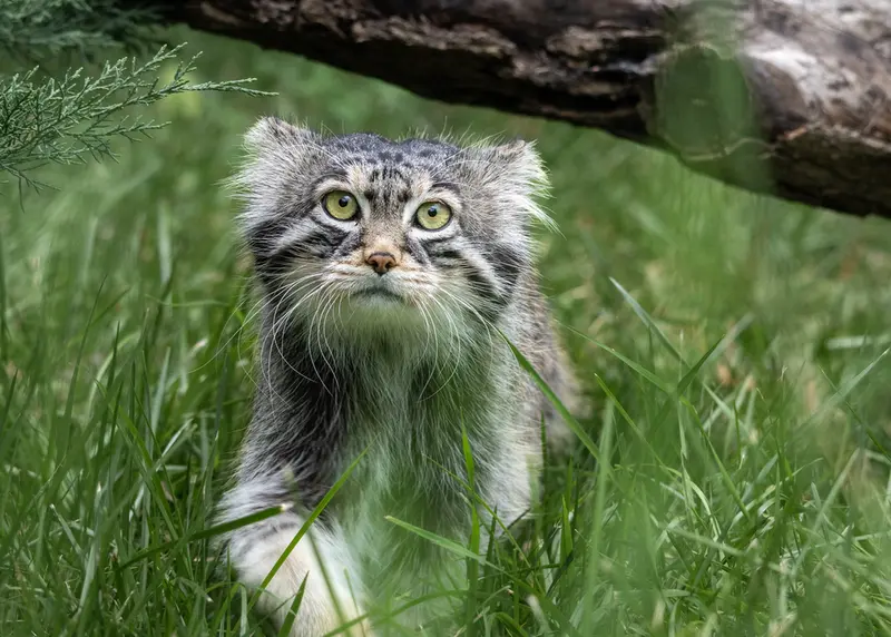 A photograph of Timofey in Moscow zoo
