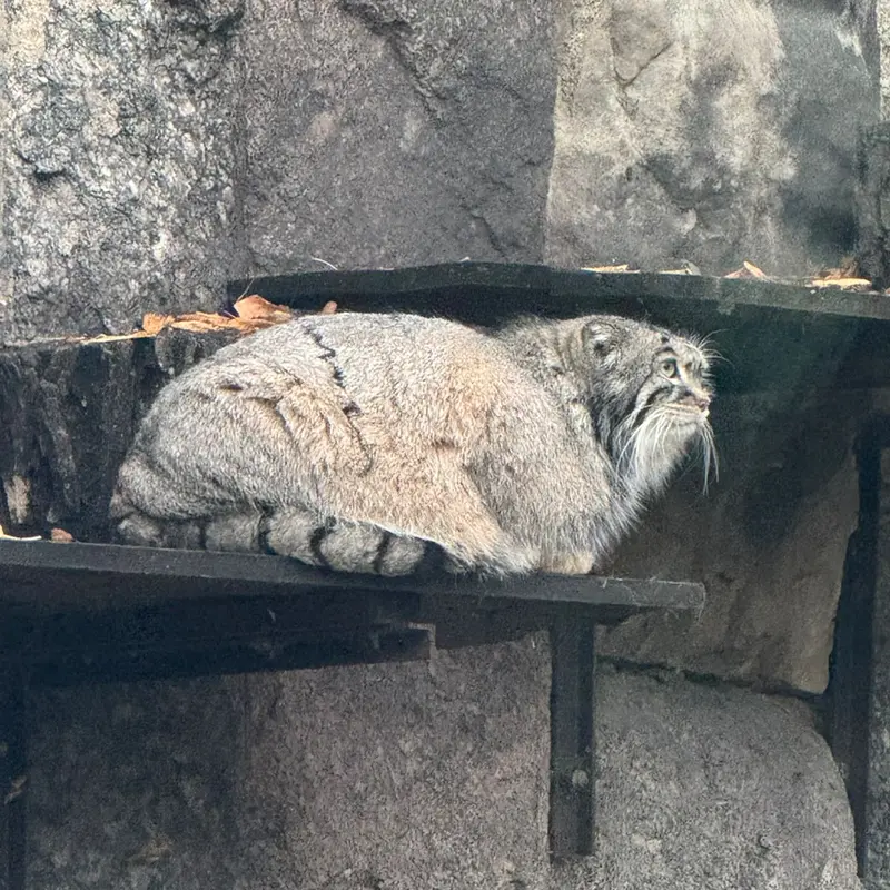 A photograph of Timofey in Moscow zoo