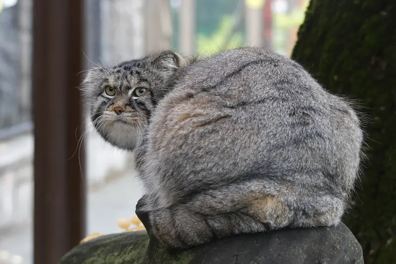 A photograph of Timofey in Moscow zoo