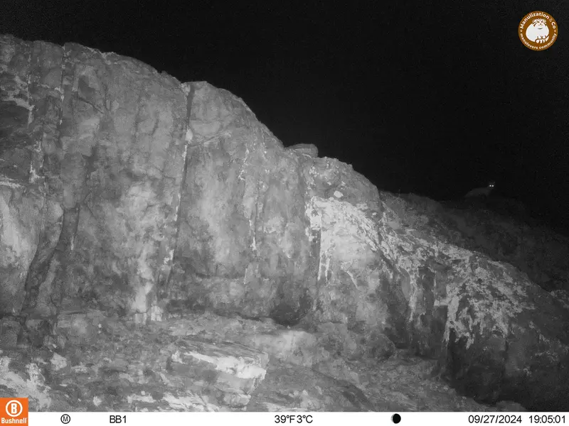 A photograph of Red fox from Aktas-Kunkora camera trap