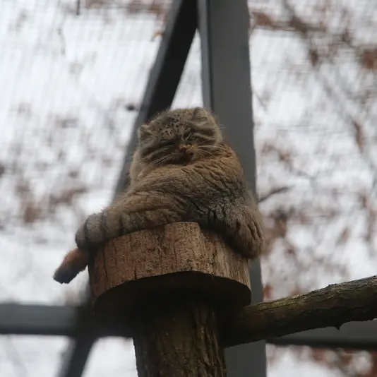 A photograph of Ula in Gdansk Zoo