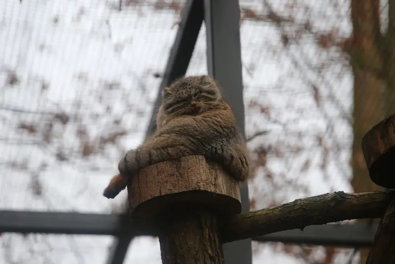 A photograph of Ula in Gdansk Zoo