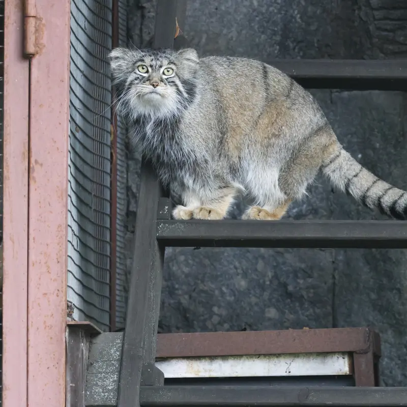 A photograph of Timofey in Moscow zoo