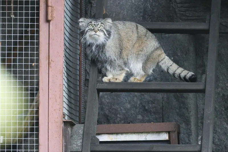 A photograph of Timofey in Moscow zoo