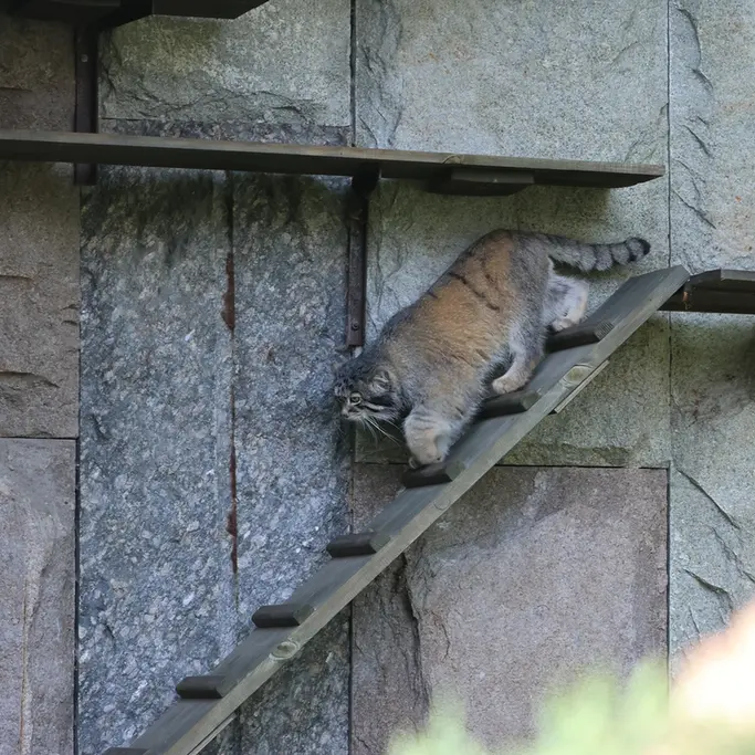 A photograph of Timofey in Moscow zoo