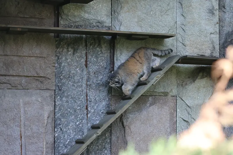 A photograph of Timofey in Moscow zoo
