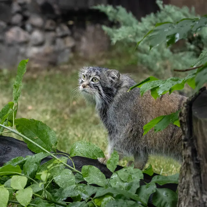 A photograph of Timofey in Moscow zoo