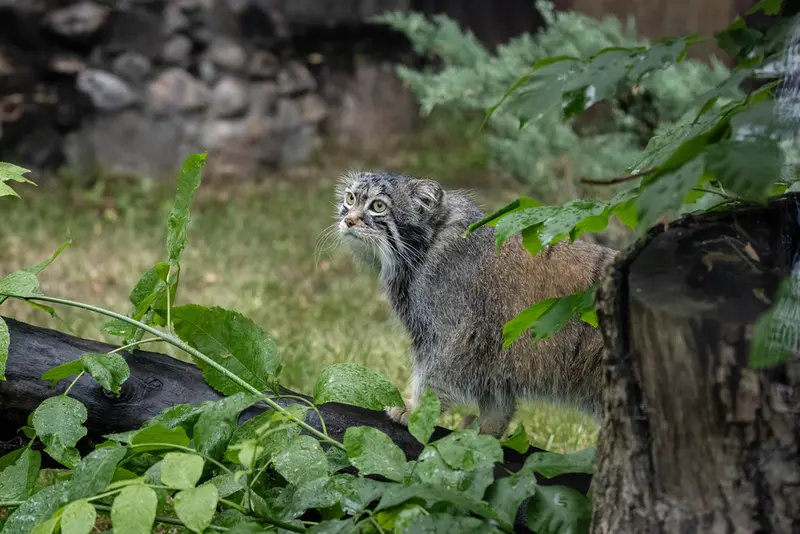 A photograph of Timofey in Moscow zoo