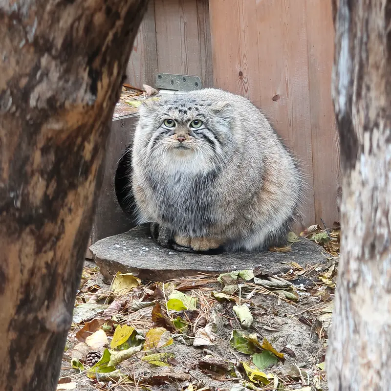 A photograph of Anya in Novosibirsk Zoo