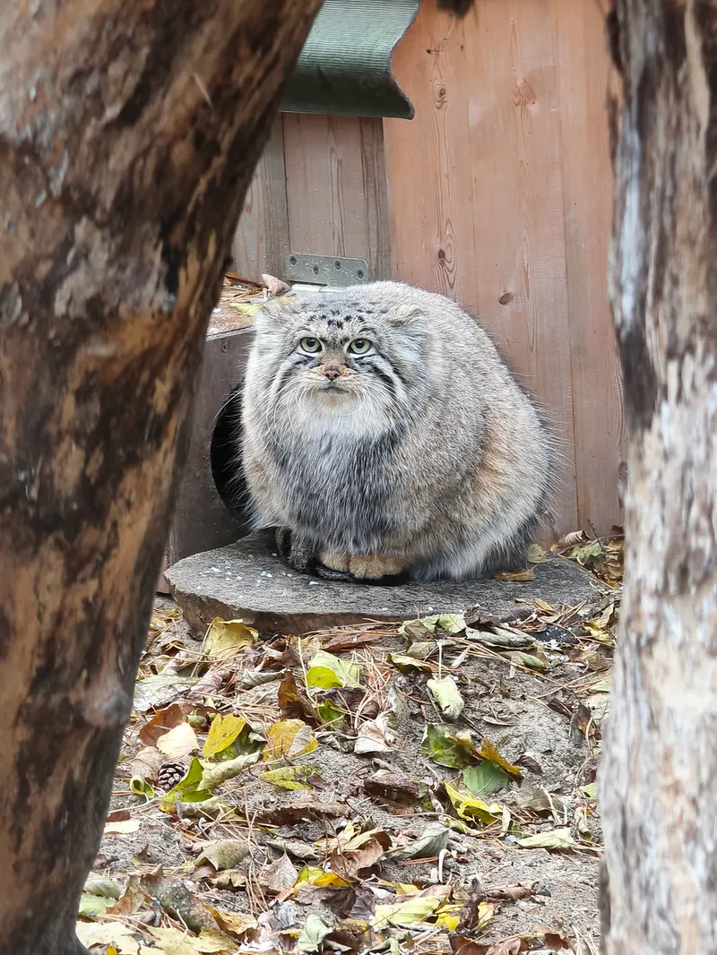 A photograph of Anya in Novosibirsk Zoo