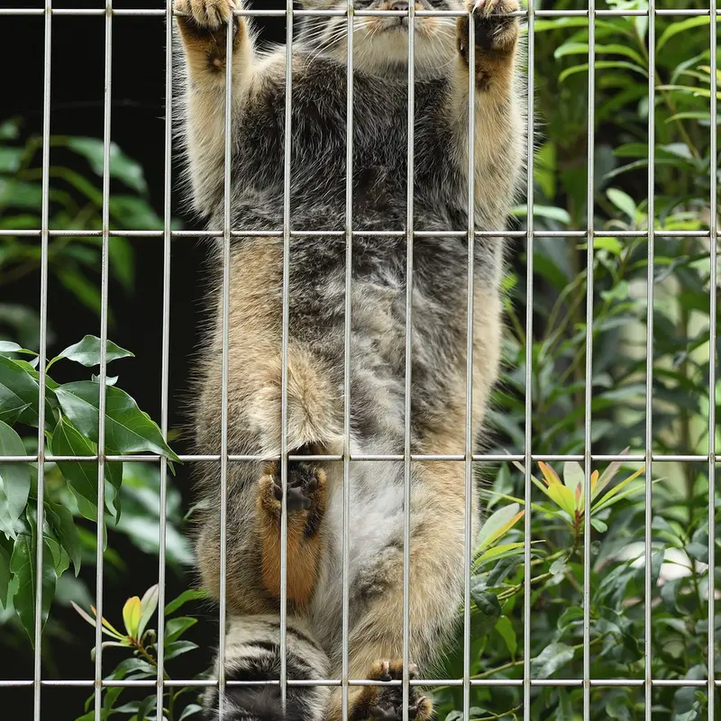 A photograph of Nobu in Higashiyama Zoo and Botanical Gardens