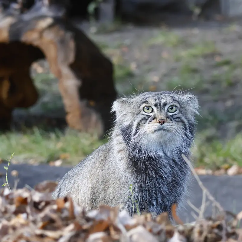A photograph of Timofey in Moscow zoo