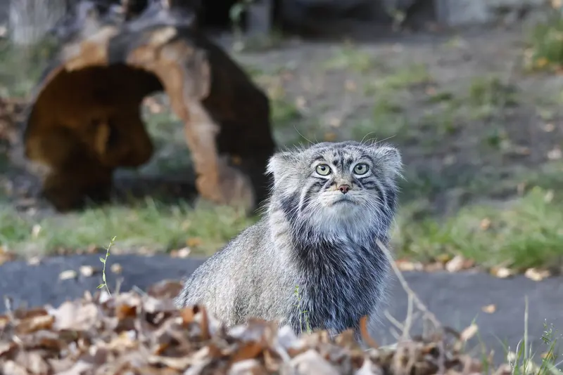 A photograph of Timofey in Moscow zoo