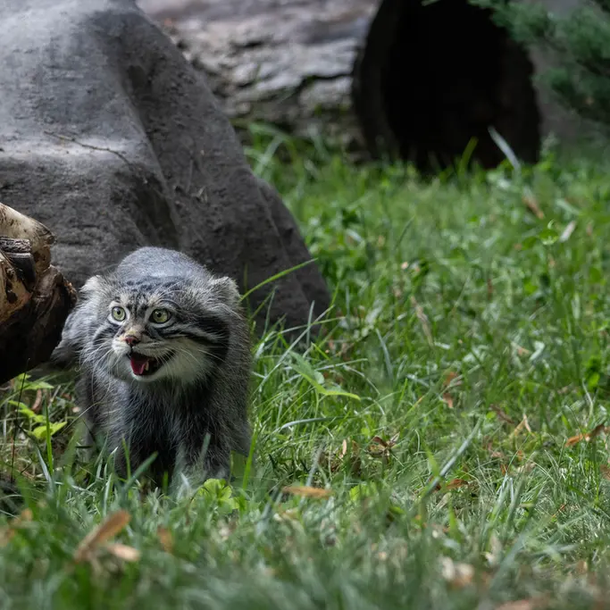 A photograph of Timofey in Moscow zoo