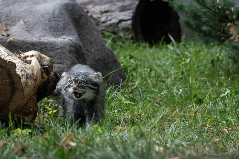 A photograph of Timofey in Moscow zoo