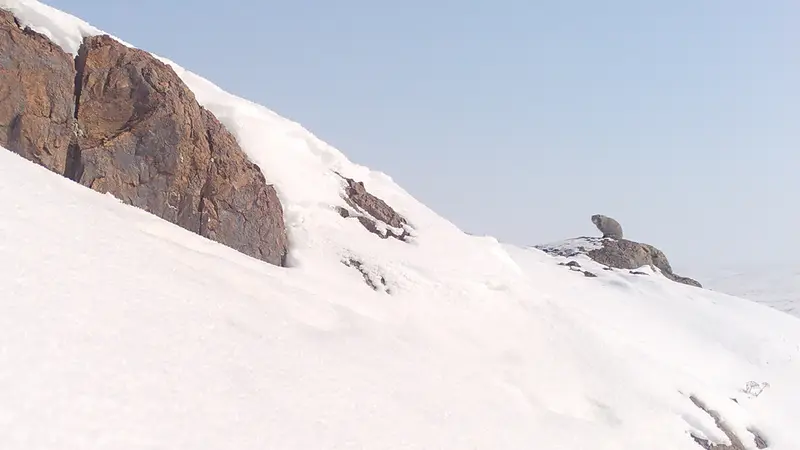 Aktas-Kunkora