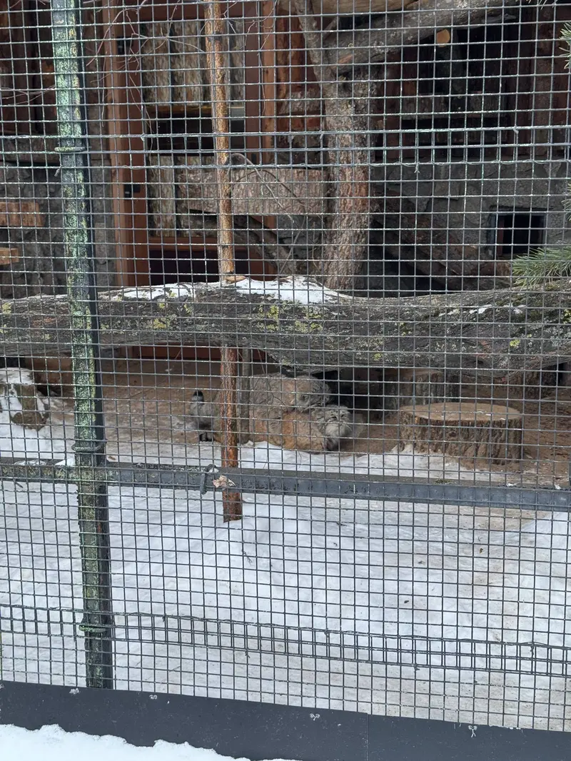 A photograph of Namika and Sven in Leningrad zoo