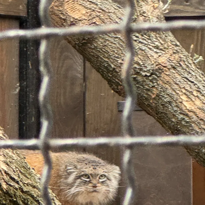 A photograph of Jessie in Warsaw Zoo
