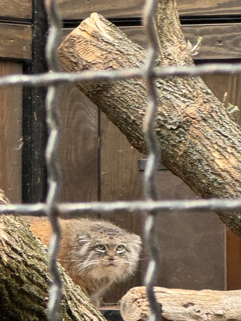 A photograph of Jessie in Warsaw Zoo