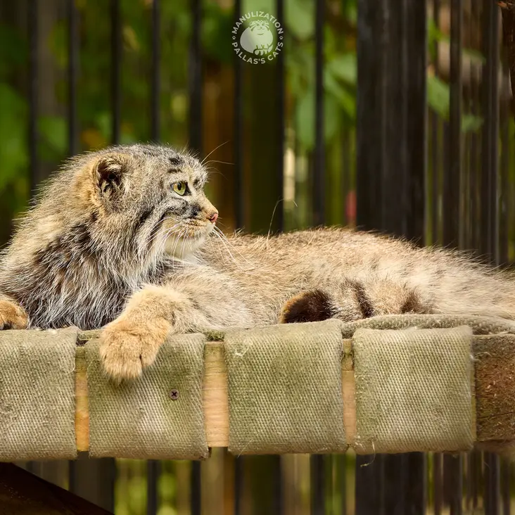 A photograph of Gabi in Novosibirsk Zoo