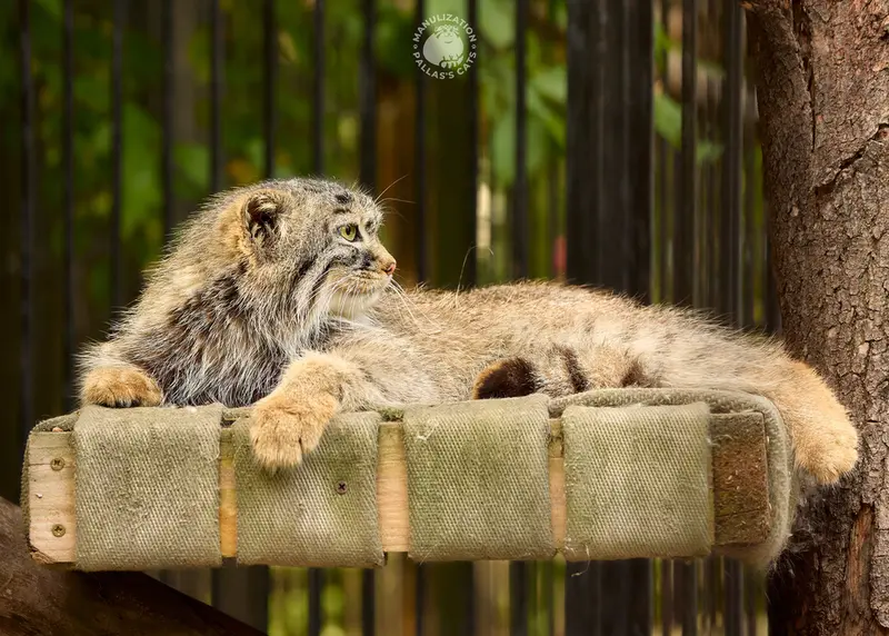 A photograph of Gabi in Novosibirsk Zoo